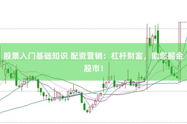 股票入门基础知识 配资营销：杠杆财富，助您掘金股市！