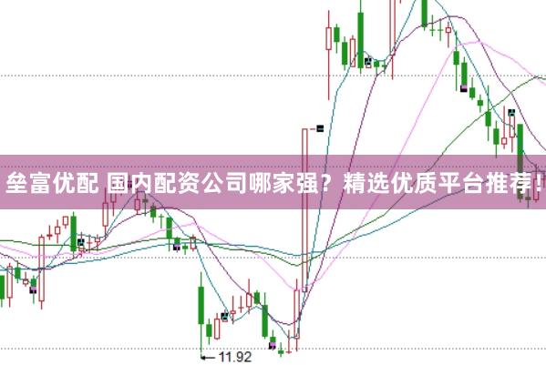 垒富优配 国内配资公司哪家强？精选优质平台推荐！