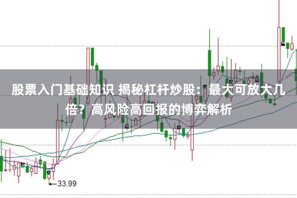 股票入门基础知识 揭秘杠杆炒股：最大可放大几倍？高风险高回报的博弈解析