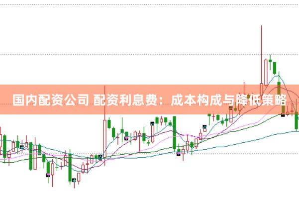 国内配资公司 配资利息费：成本构成与降低策略