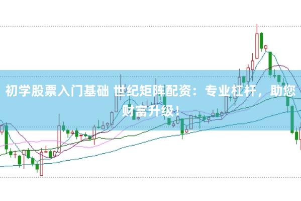 初学股票入门基础 世纪矩阵配资：专业杠杆，助您财富升级！