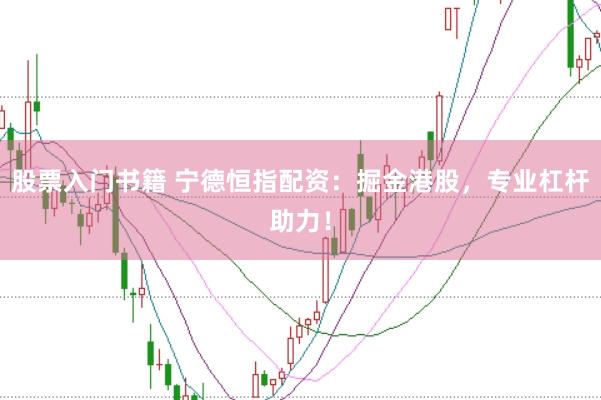 股票入门书籍 宁德恒指配资：掘金港股，专业杠杆助力！