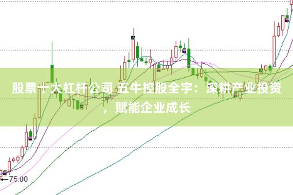 股票十大杠杆公司 五牛控股全宇：深耕产业投资，赋能企业成长