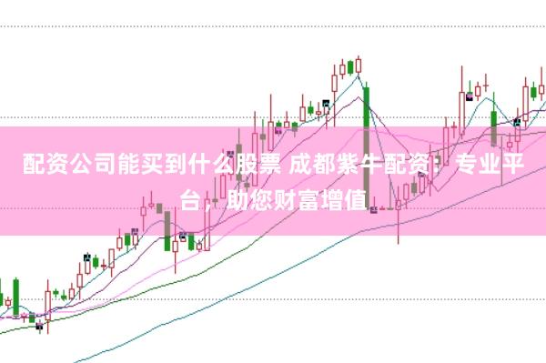 配资公司能买到什么股票 成都紫牛配资：专业平台，助您财富增值