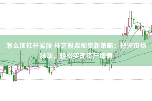 怎么加杠杆买股 林芝股票配资新策略：把握市场脉动，轻松实现资产增值