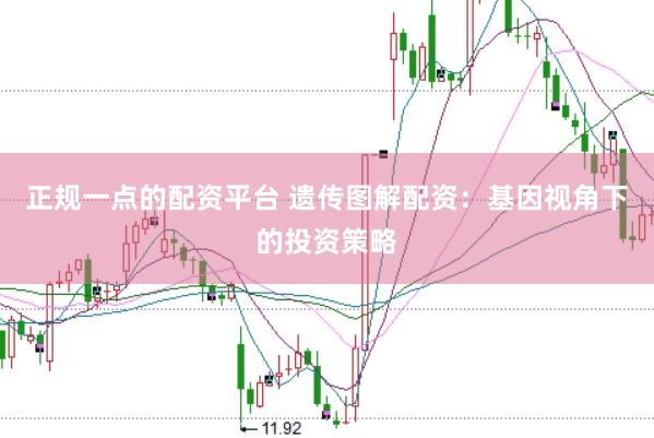 正规一点的配资平台 遗传图解配资：基因视角下的投资策略