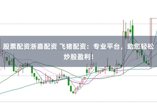 股票配资浙嘉配资 飞猪配资：专业平台，助您轻松炒股盈利！