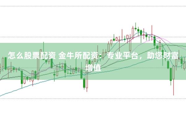 怎么股票配资 金牛所配资：专业平台，助您财富增值
