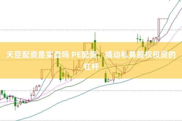 天臣配资是实盘吗 PE配资：撬动私募股权投资的杠杆