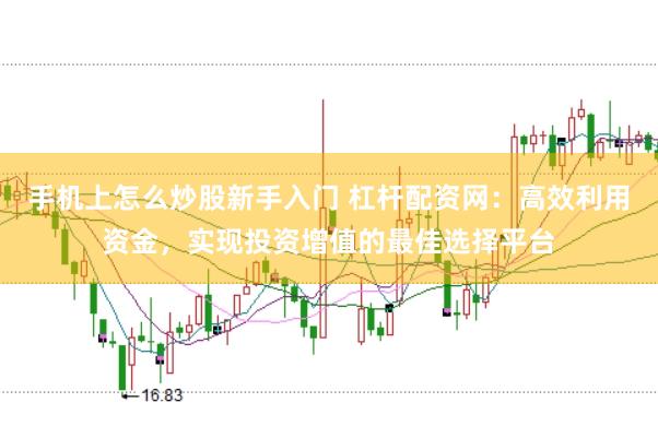 手机上怎么炒股新手入门 杠杆配资网：高效利用资金，实现投资增值的最佳选择平台