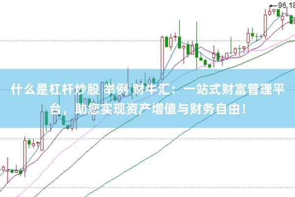 什么是杠杆炒股 举例 财牛汇：一站式财富管理平台，助您实现资产增值与财务自由！