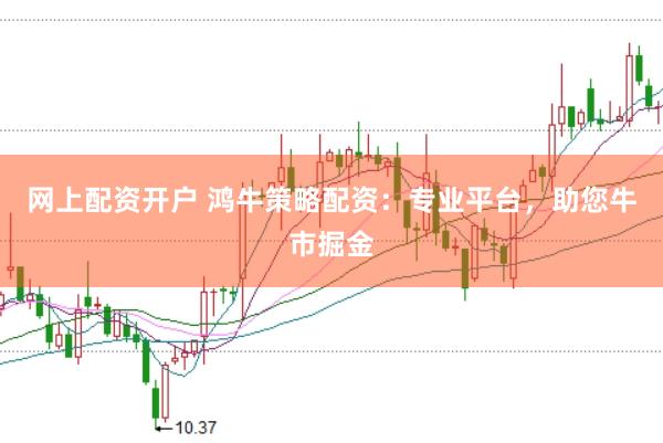 网上配资开户 鸿牛策略配资：专业平台，助您牛市掘金