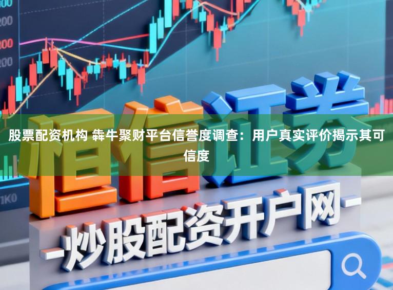 股票配资机构 犇牛聚财平台信誉度调查：用户真实评价揭示其可信度