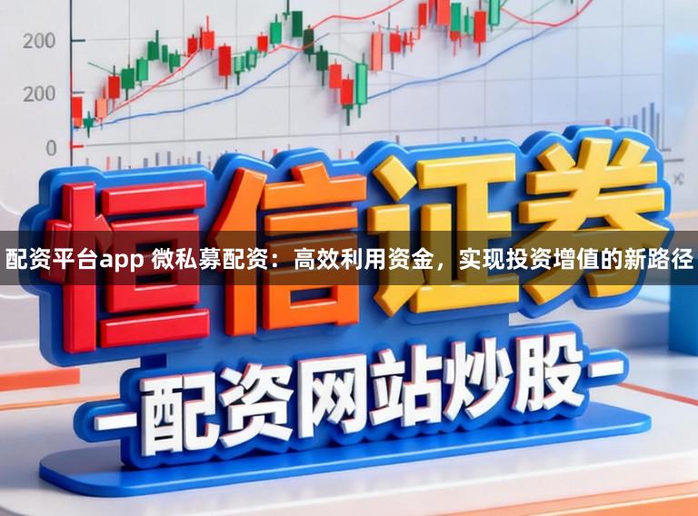 配资平台app 微私募配资：高效利用资金，实现投资增值的新路径