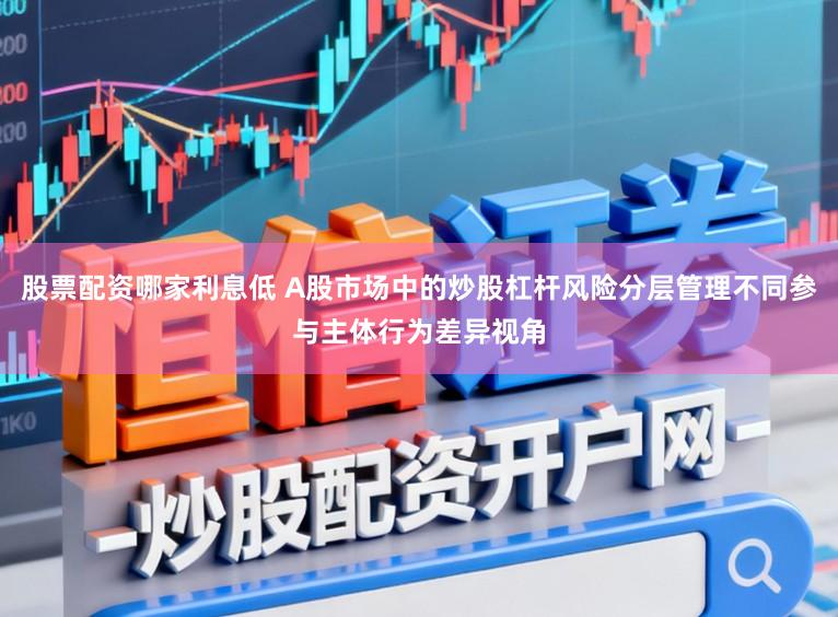 股票配资哪家利息低 A股市场中的炒股杠杆风险分层管理不同参与主体行为差异视角